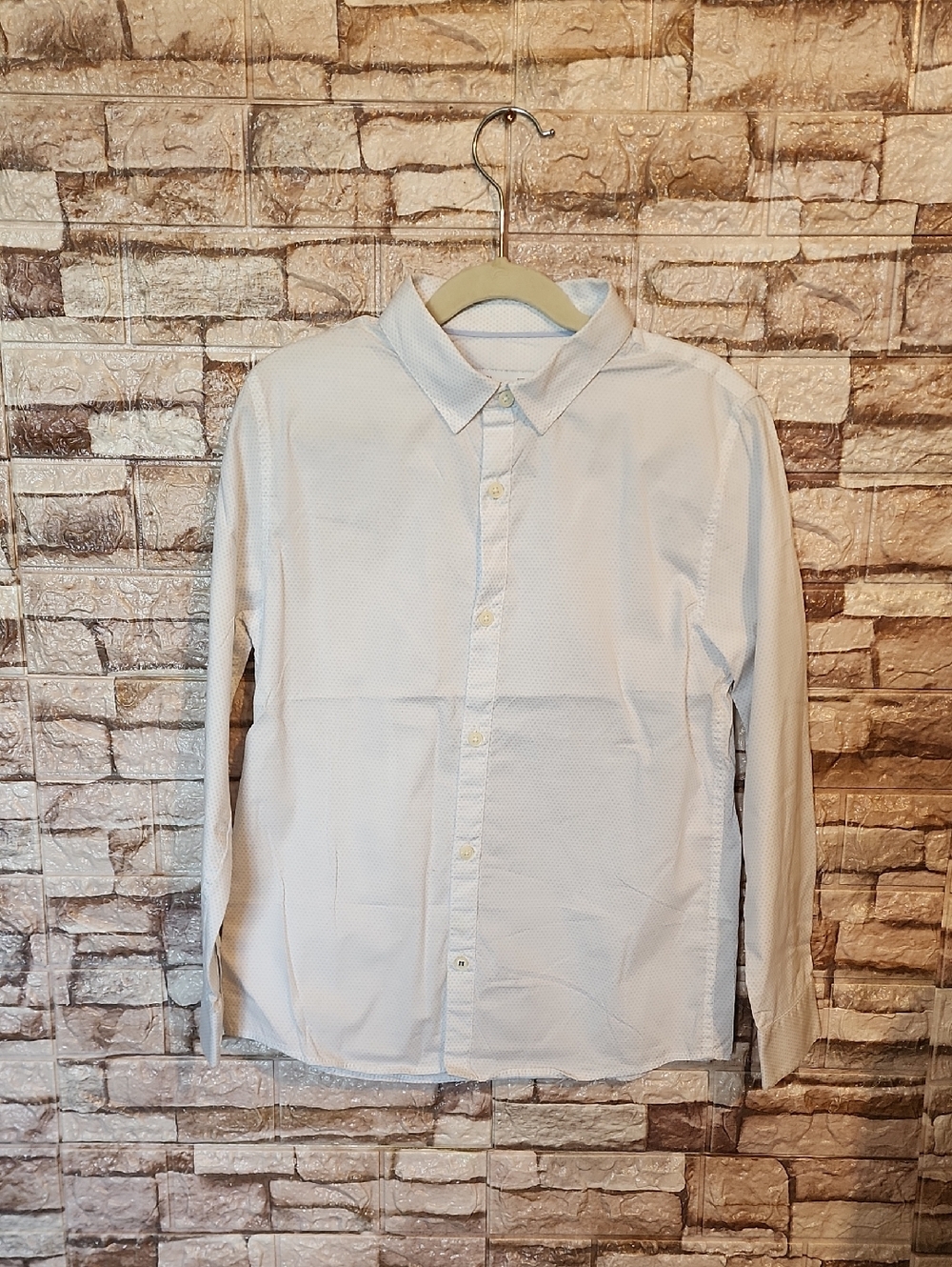 Zara Slim Fit Button Down Blue & White Shirt